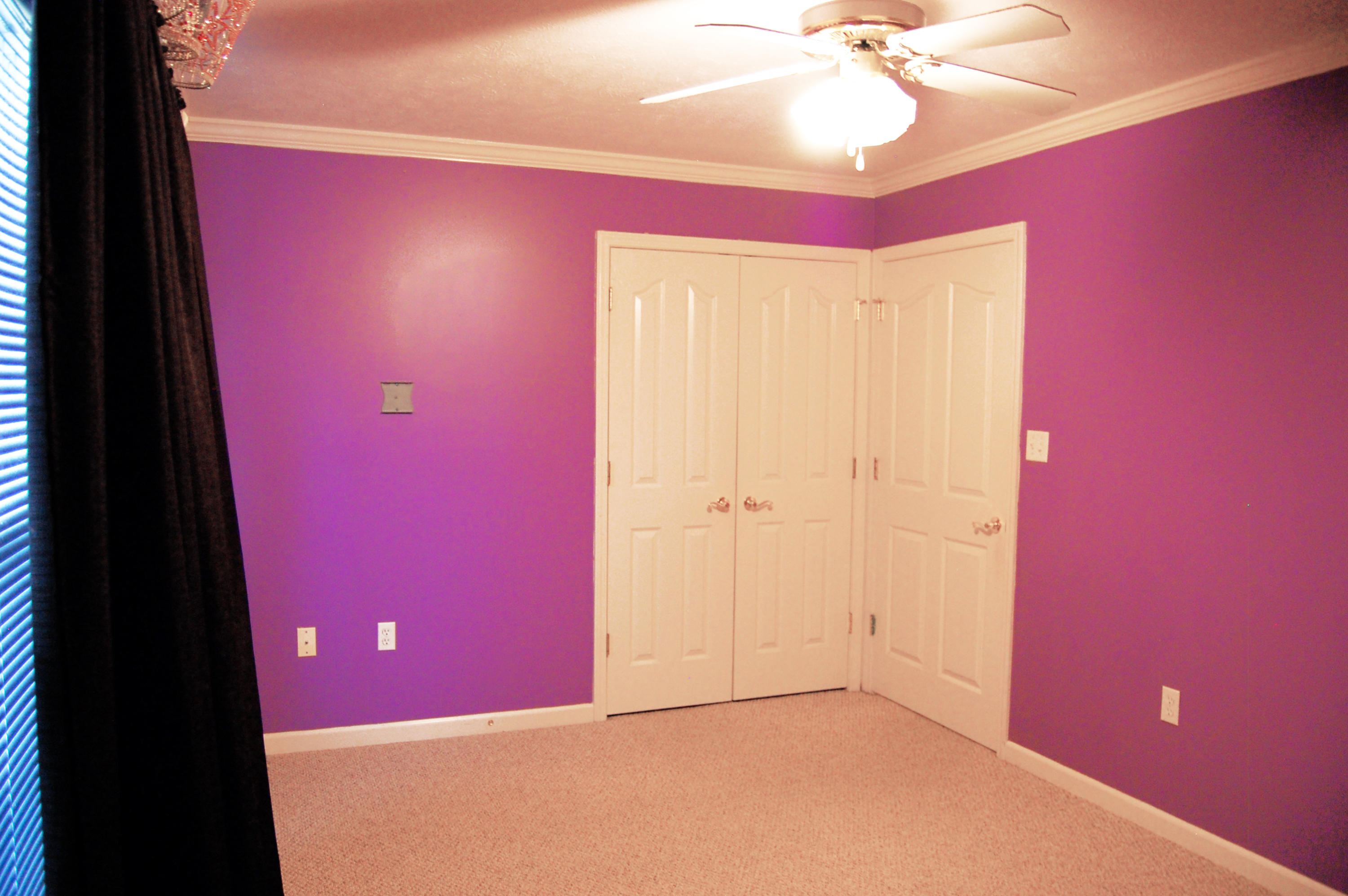 2516 County Line Road Mooresburg, TN 37811 - Photo 25 of 36 Pratt25