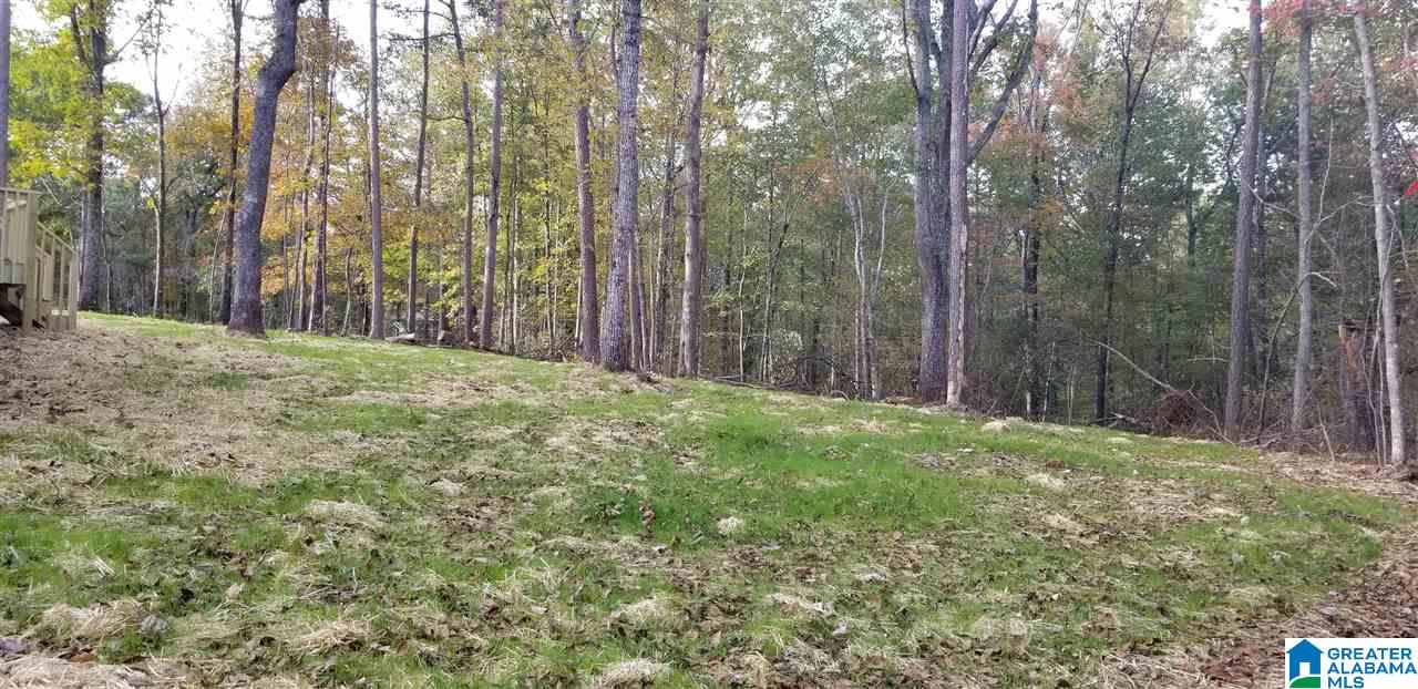 159 Smoke Rise Lane Warrior, AL 35180 - Photo 25 of 25