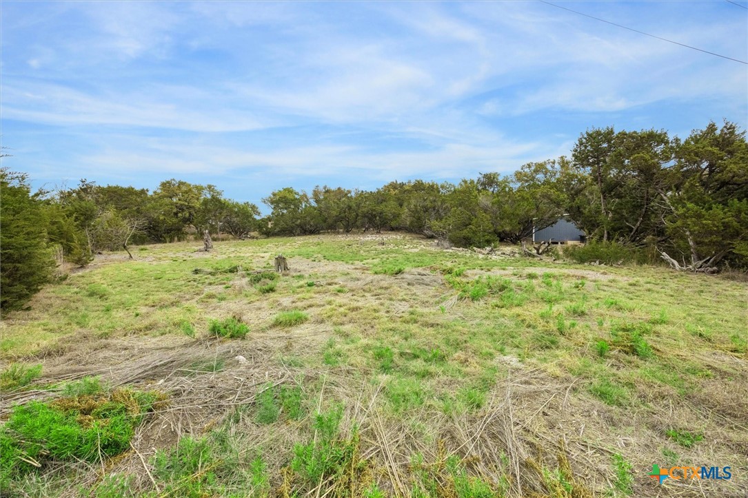 825 Golf Course Drive East Spring Branch, TX 78070 - Photo 4 of 10