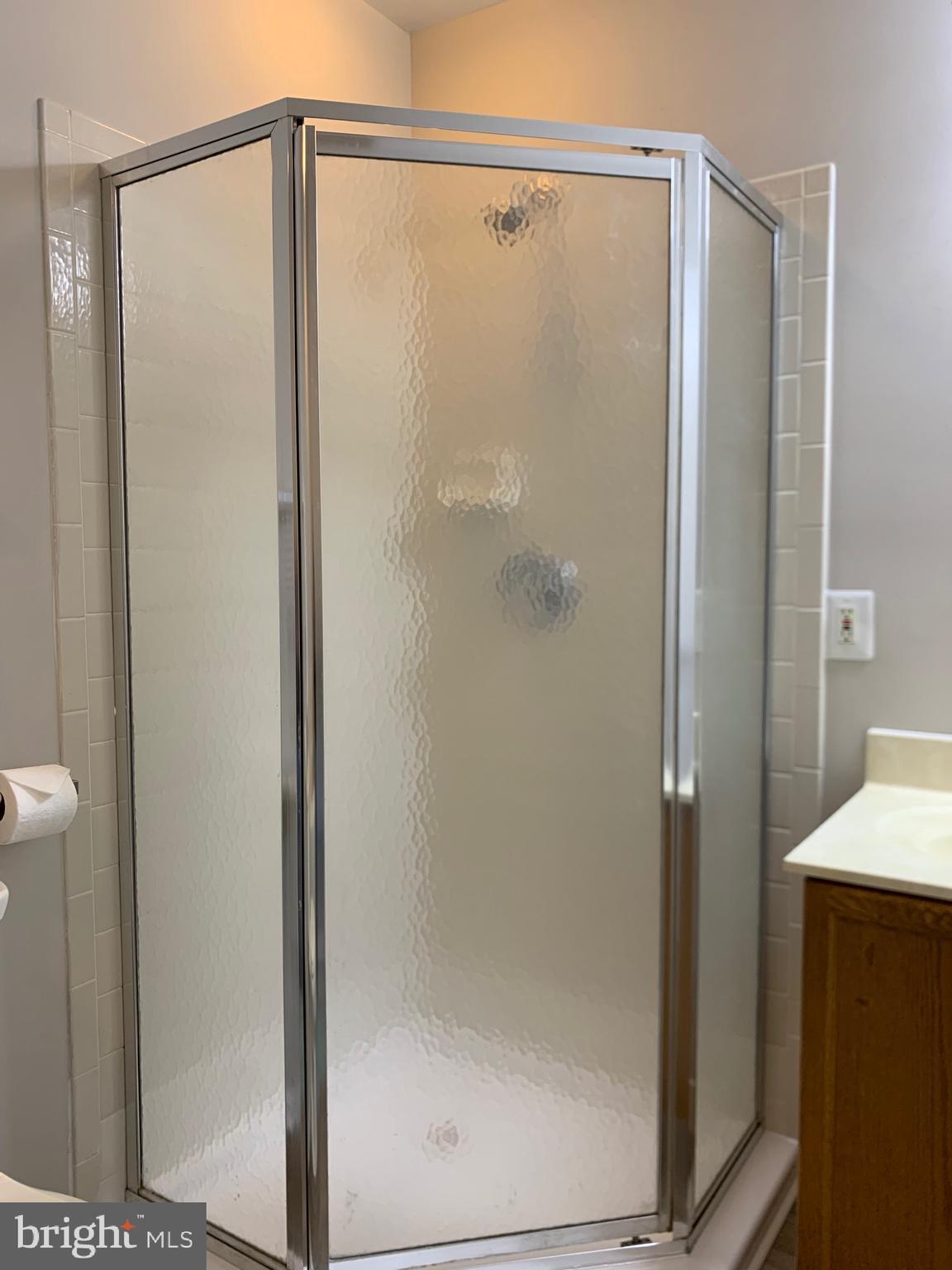 114 Sentry Ridge Smithsburg, MD 21783 - Photo 31 of 60 a bathroom with a glass shower door