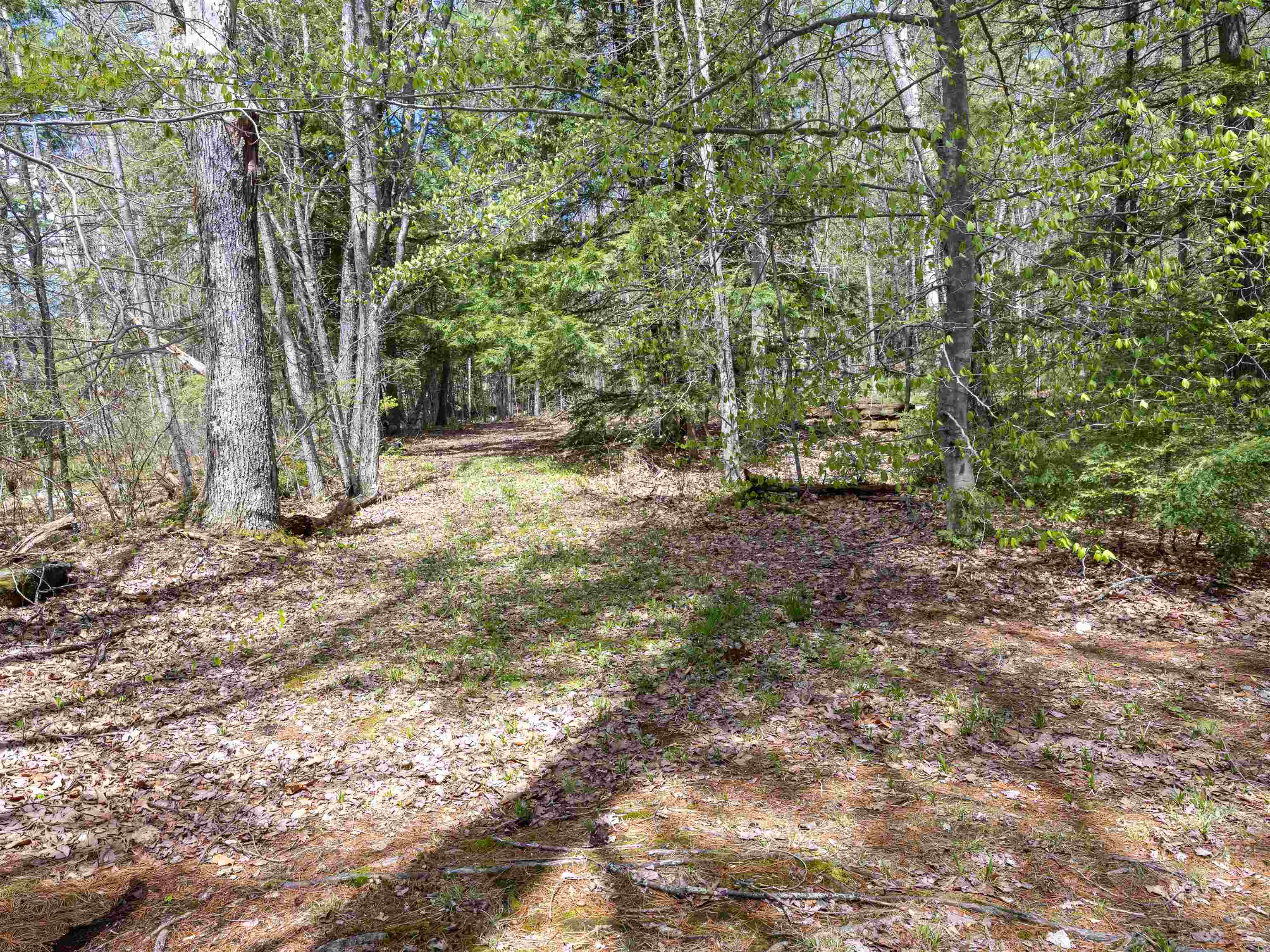 5 Twin Oaks Road Bradford, NH 03221 - Photo 34 of 36