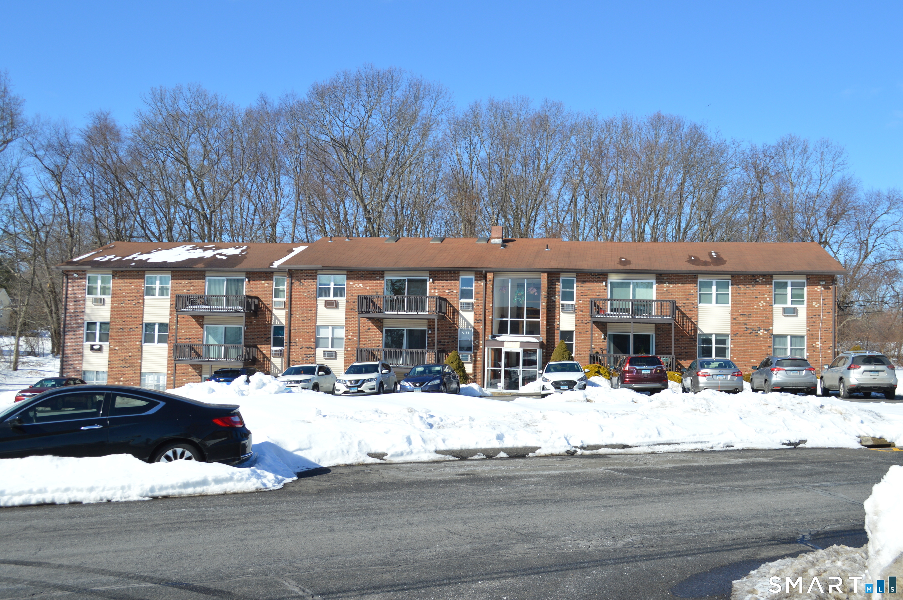 a outdoor space with lots of palm trees