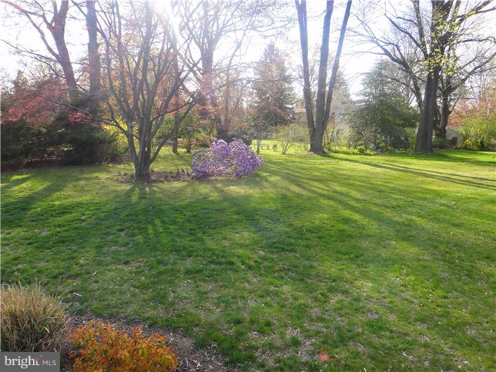 1066 Herschel Road Philadelphia, PA 19116 - Photo 21 of 22 Back Yard