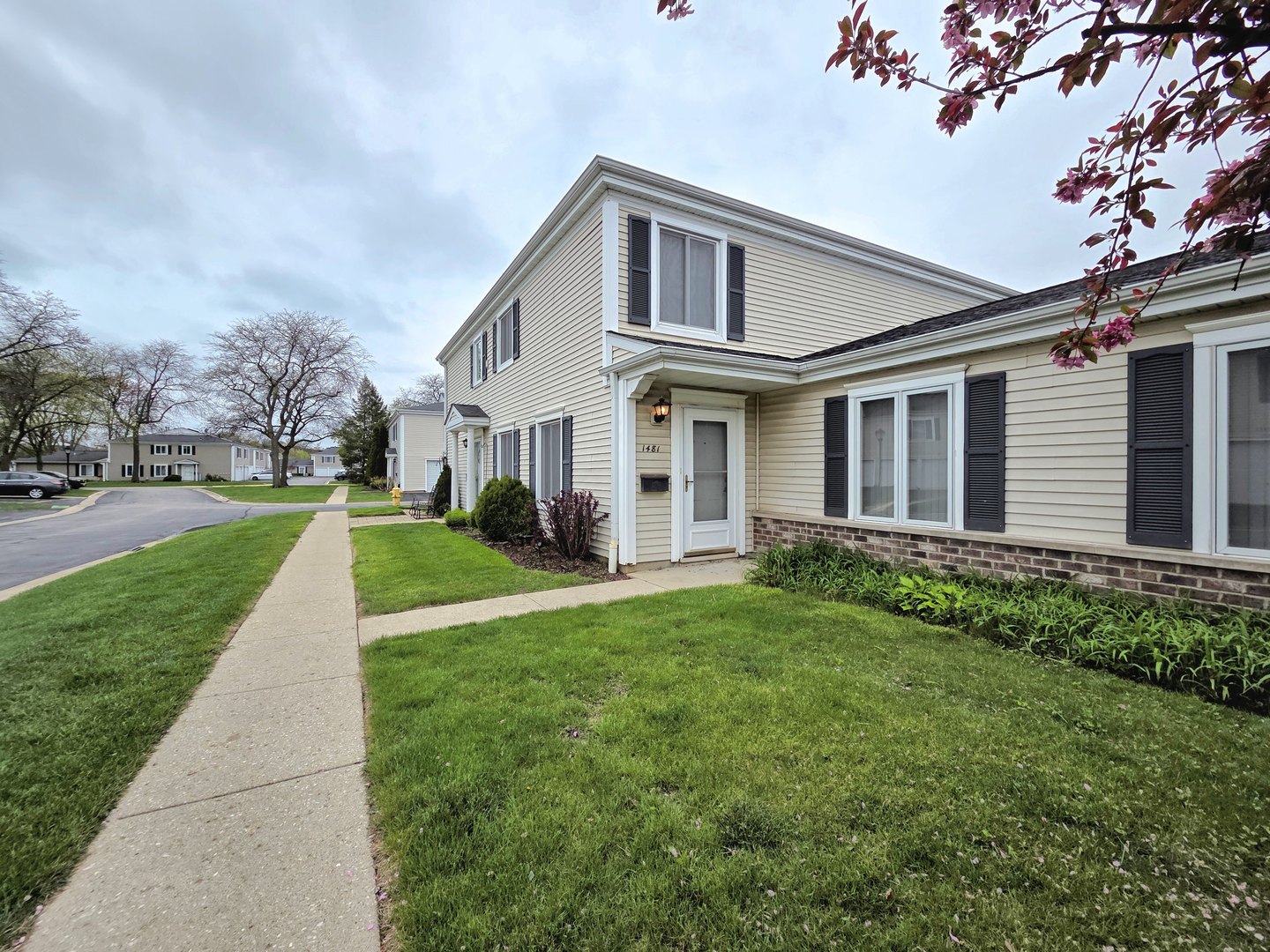 a view of house with a big yard potted plants and large tree