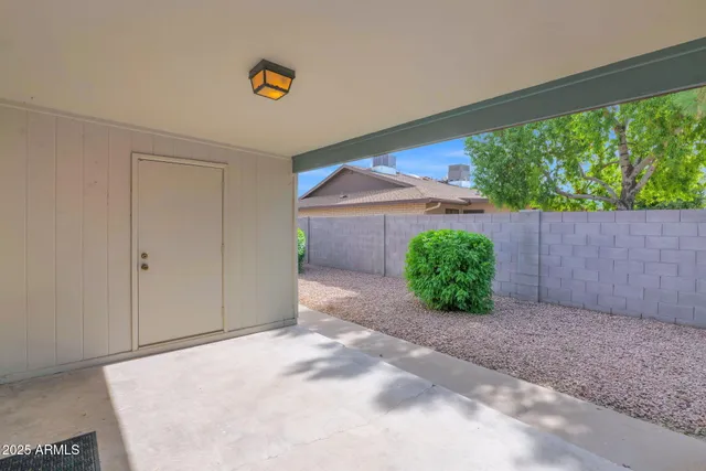 a view of backyard and tree