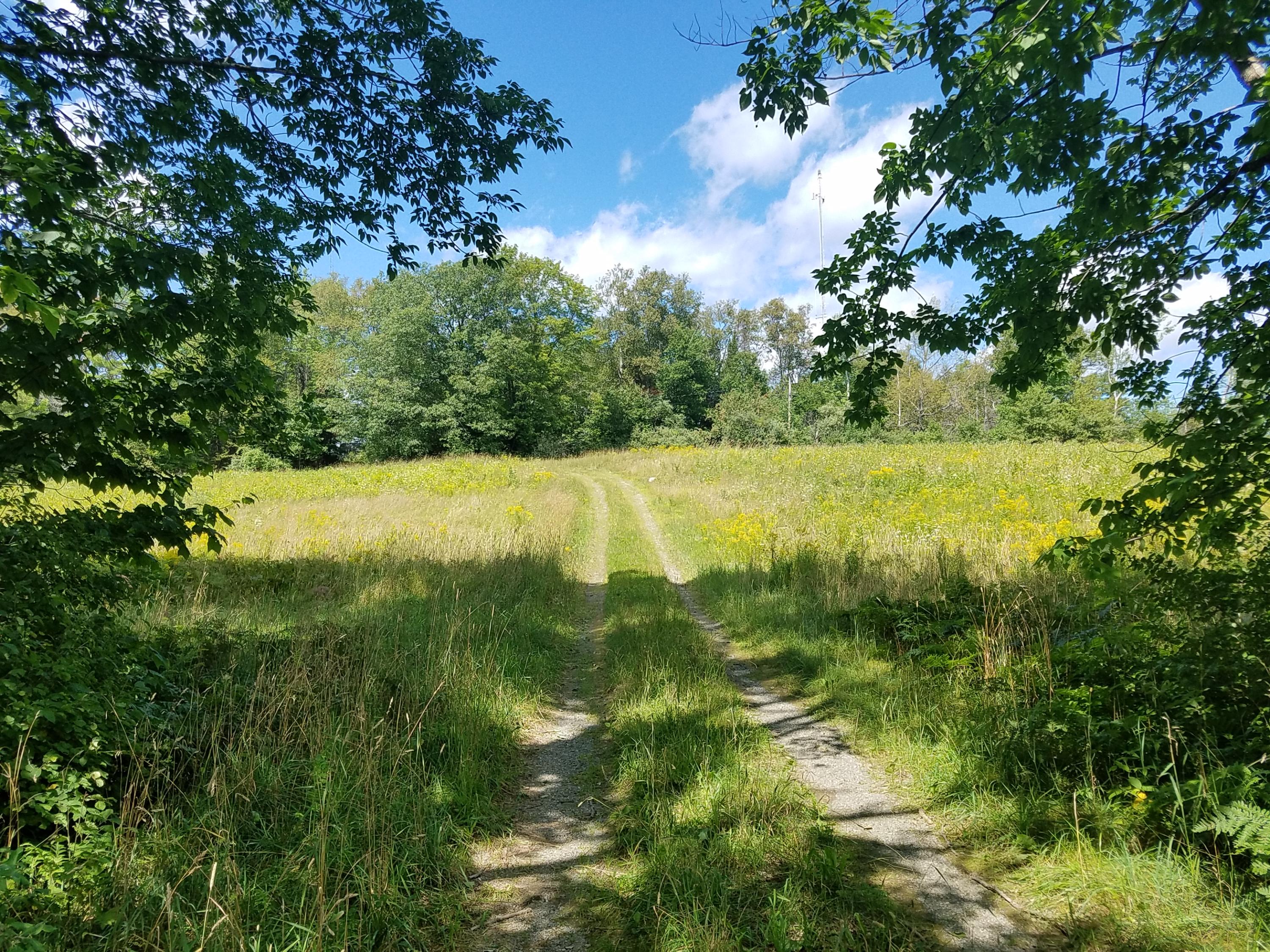 Lot 20 Holmes Road Dover-Foxcroft, ME 04426 - Photo 11 of 18 20190823_131218