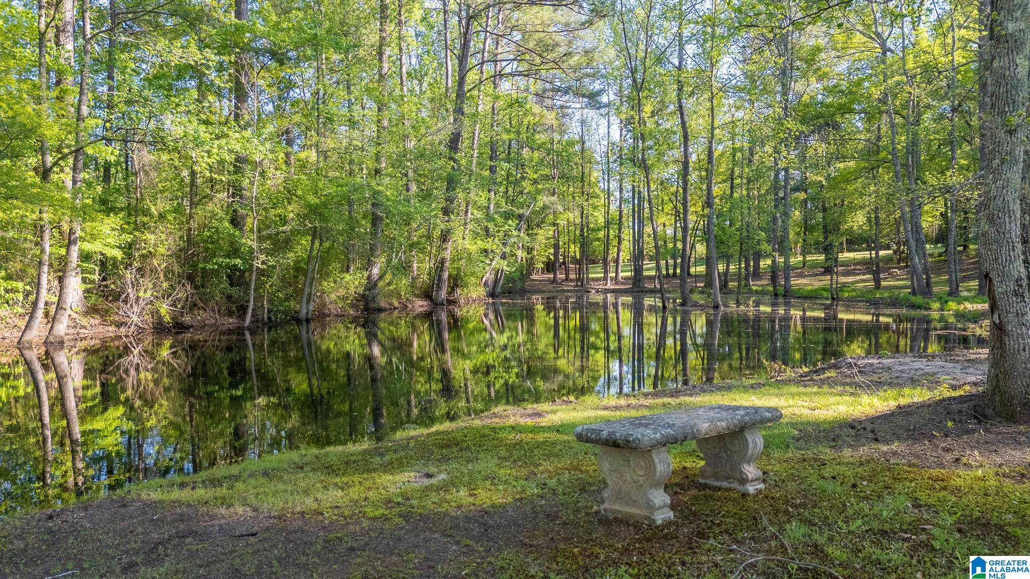 4435 Renfroe Road Talladega, AL 35160 - Photo 79 of 99 Gallery Image 79