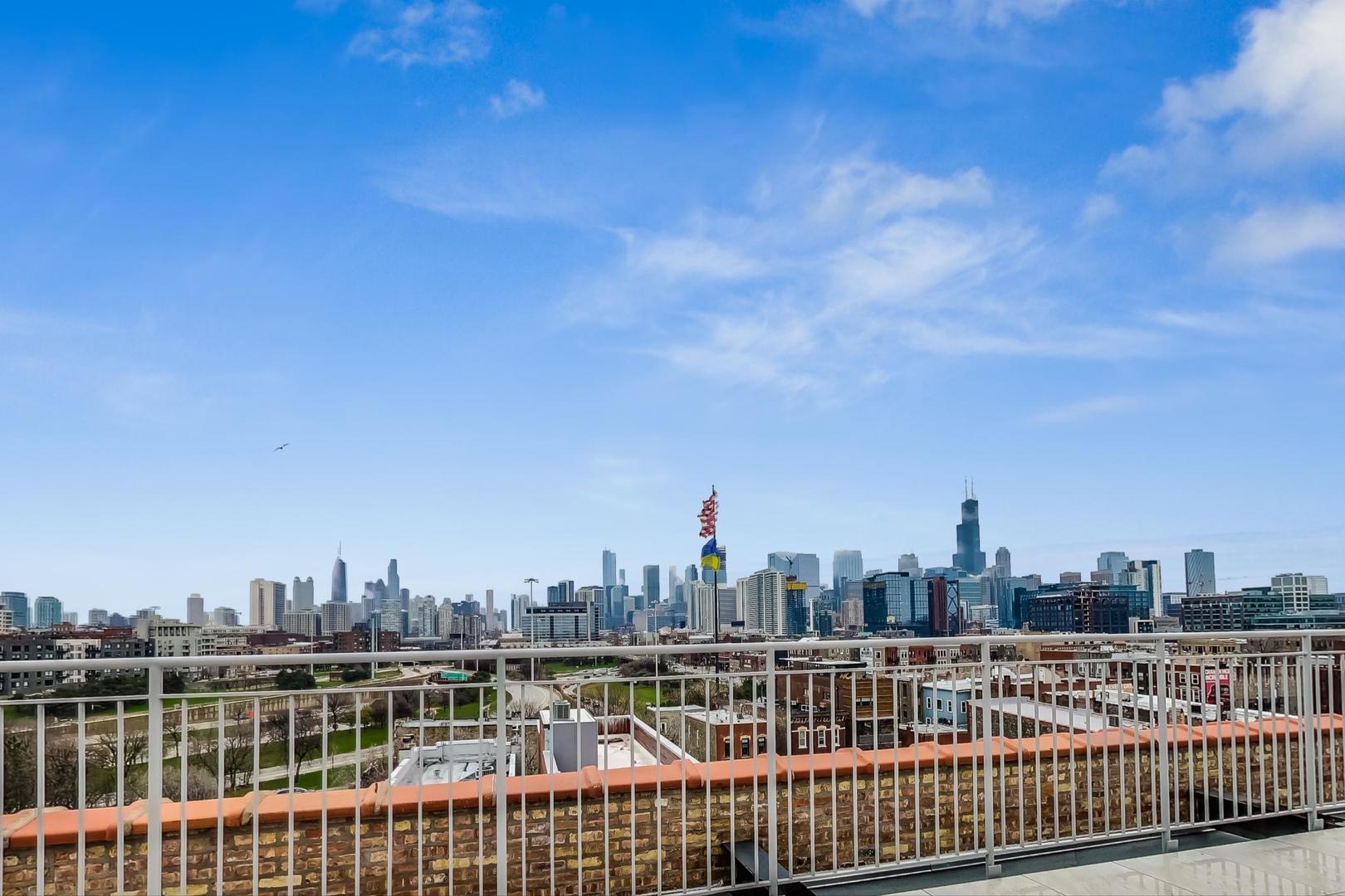 1147 West Ohio Street, Unit 201 Chicago, IL 60642 - Photo 51 of 54 a view of a city skyline from a roof
