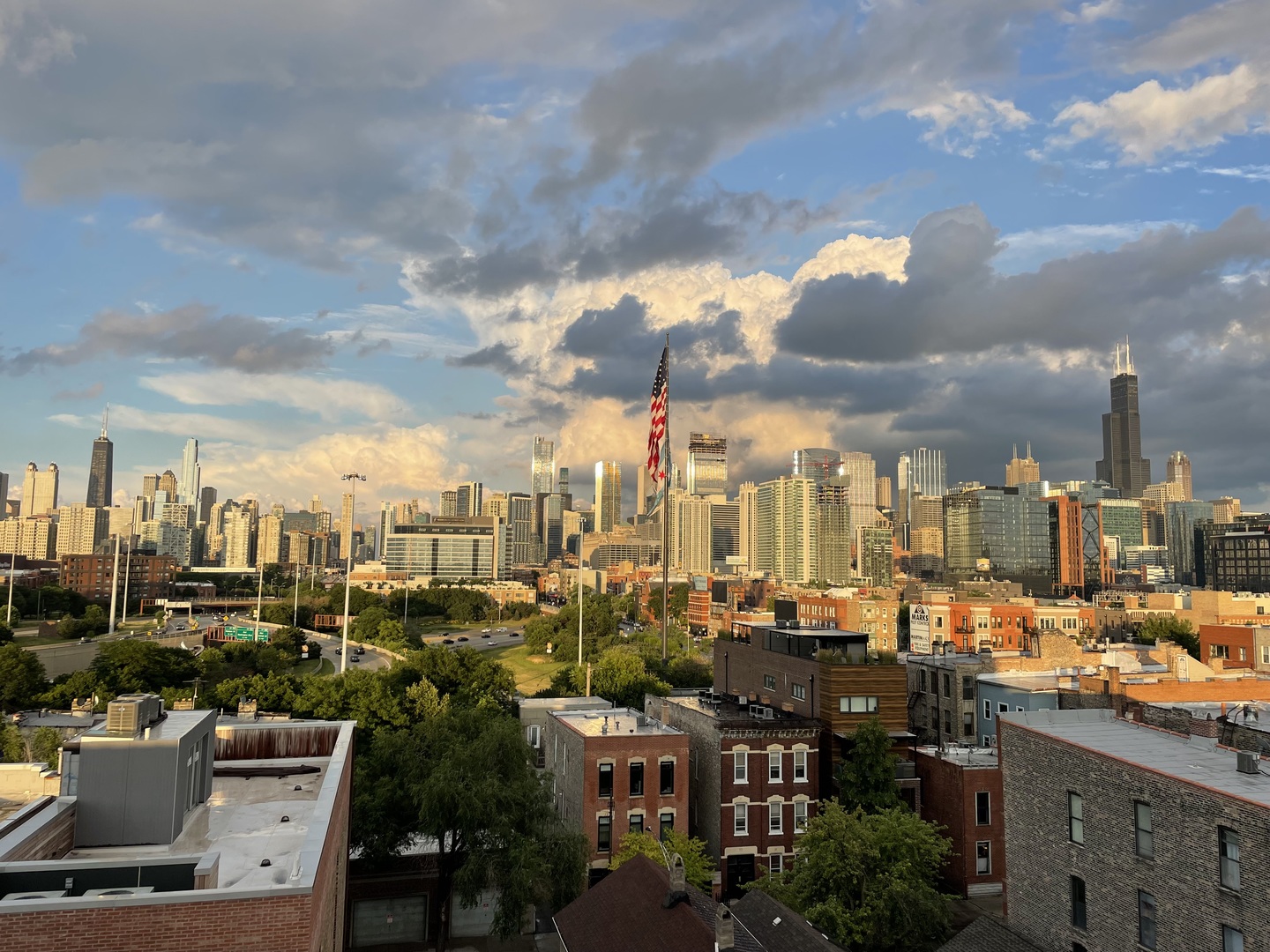 1147 West Ohio Street, Unit 201 Chicago, IL 60642 - Photo 52 of 54