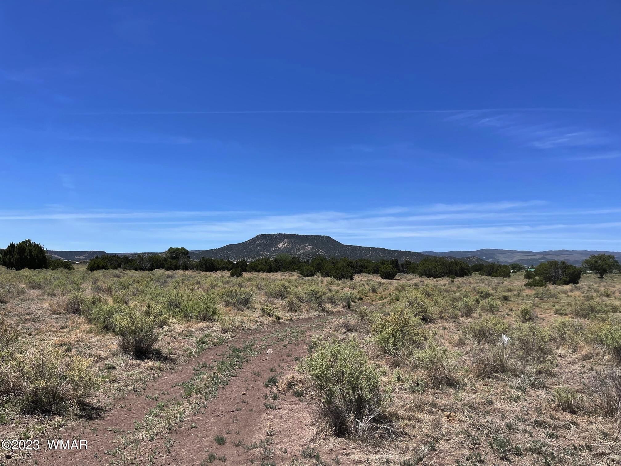 Tbd Tbd Rogers Ranch Road Springerville, AZ 85938 - Photo 2 of 5