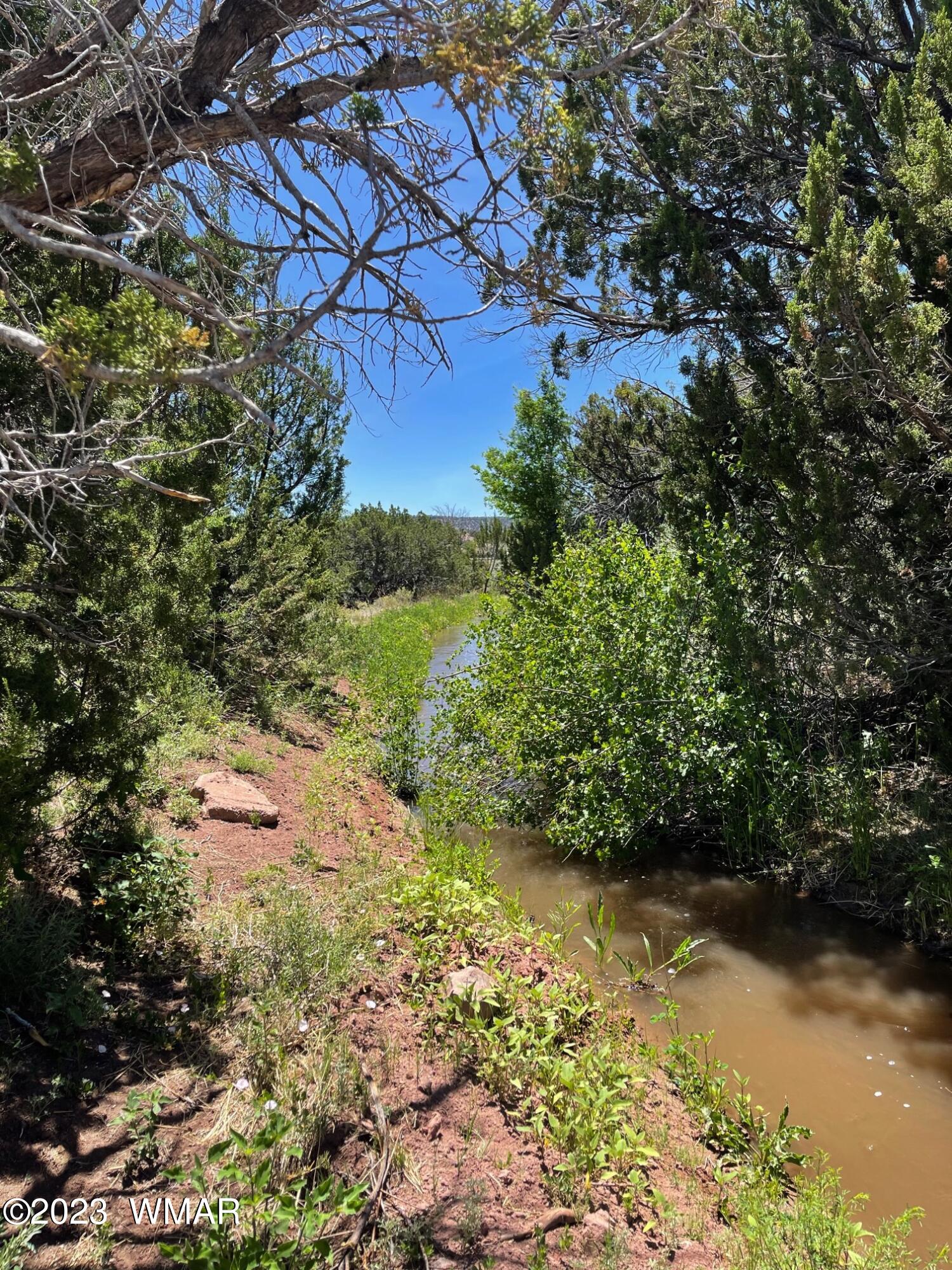 Tbd Tbd Rogers Ranch Road Springerville, AZ 85938 - Photo 4 of 5