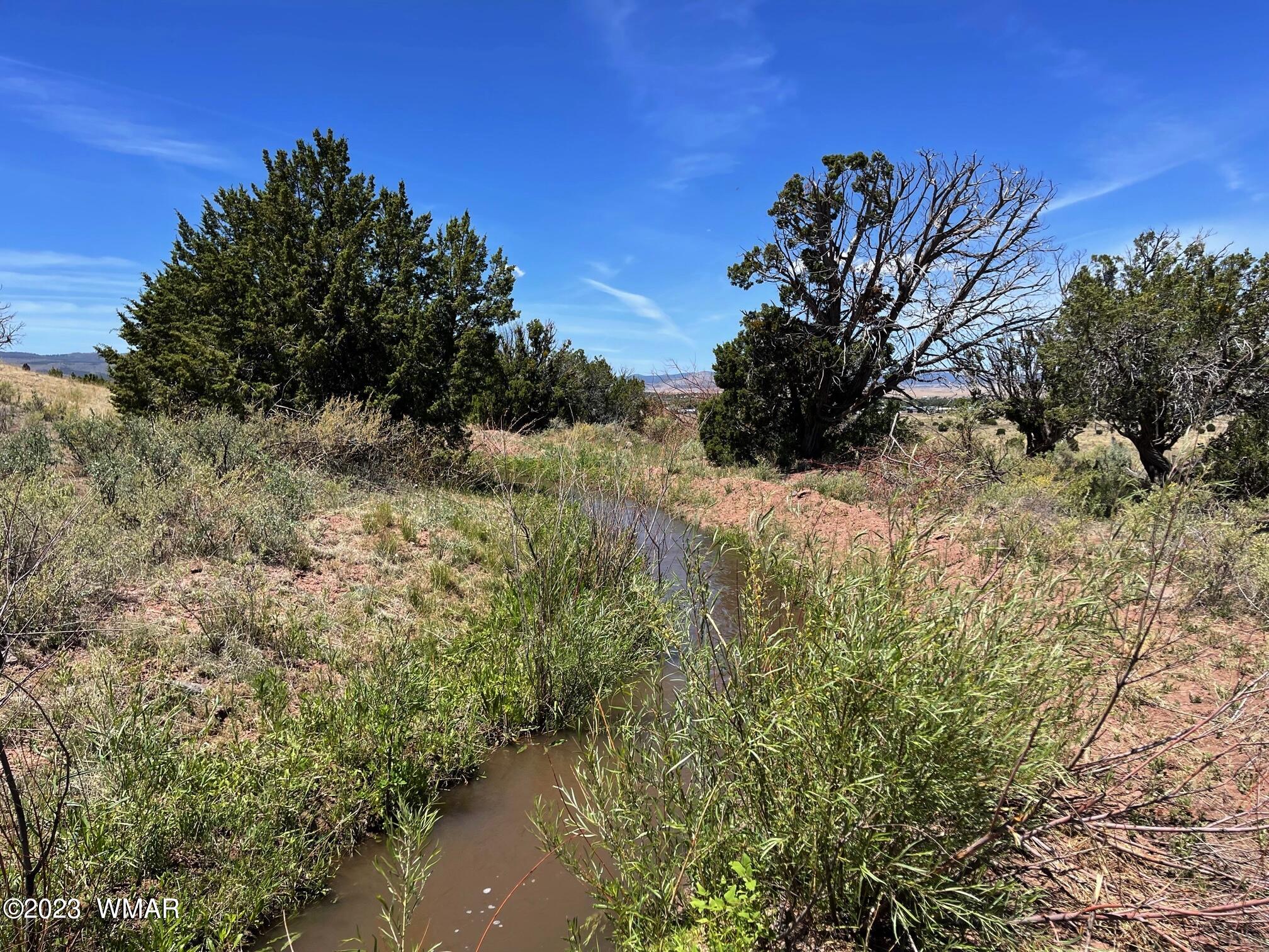 Tbd Tbd Rogers Ranch Road Springerville, AZ 85938 - Photo 5 of 5