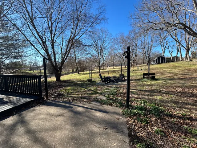 a street view with large trees