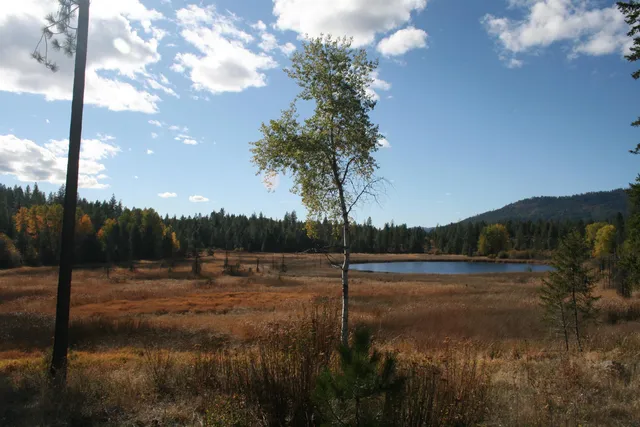 $1,500,000 | 3673 Little Sweden Road, Unit LOT C, Valley, WA 99181