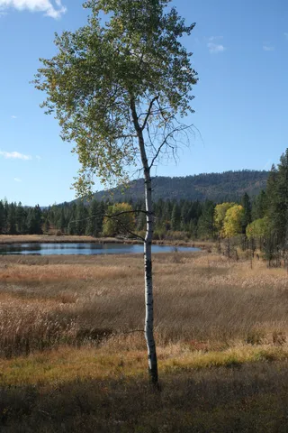 $1,500,000 | 3673 Little Sweden Road, Unit LOT C, Valley, WA 99181