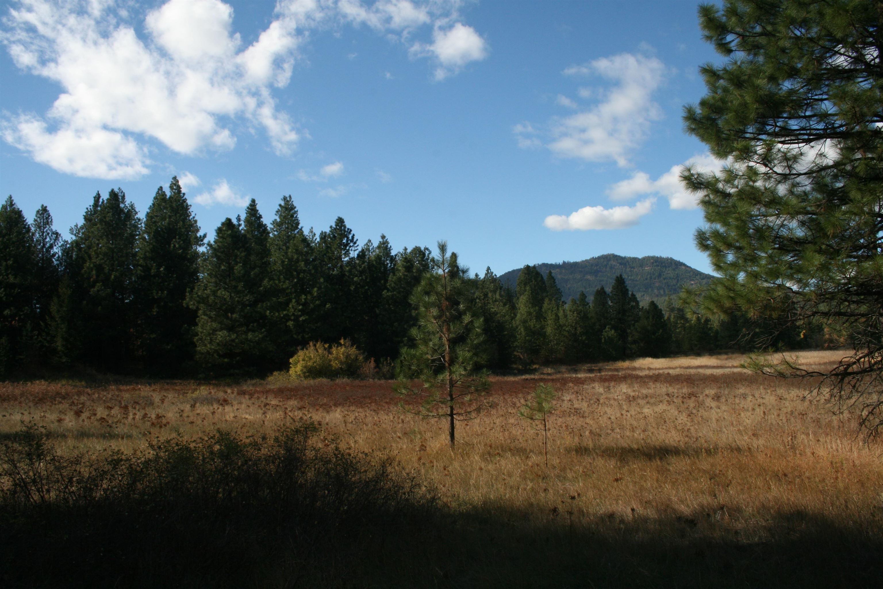 3673 Little Sweden Road, Unit LOT C Valley, WA 99181 - Photo 13 of 13