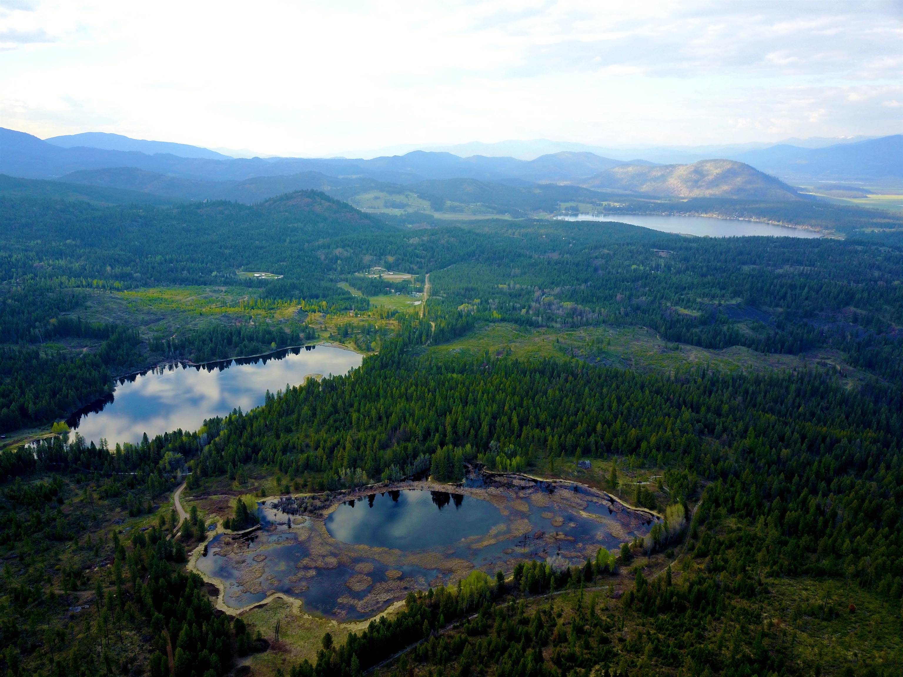 3673 Little Sweden Road, Unit LOT C Valley, WA 99181 - Photo 2 of 13