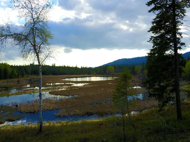 $1,500,000 | 3673 Little Sweden Road, Unit LOT C, Valley, WA 99181