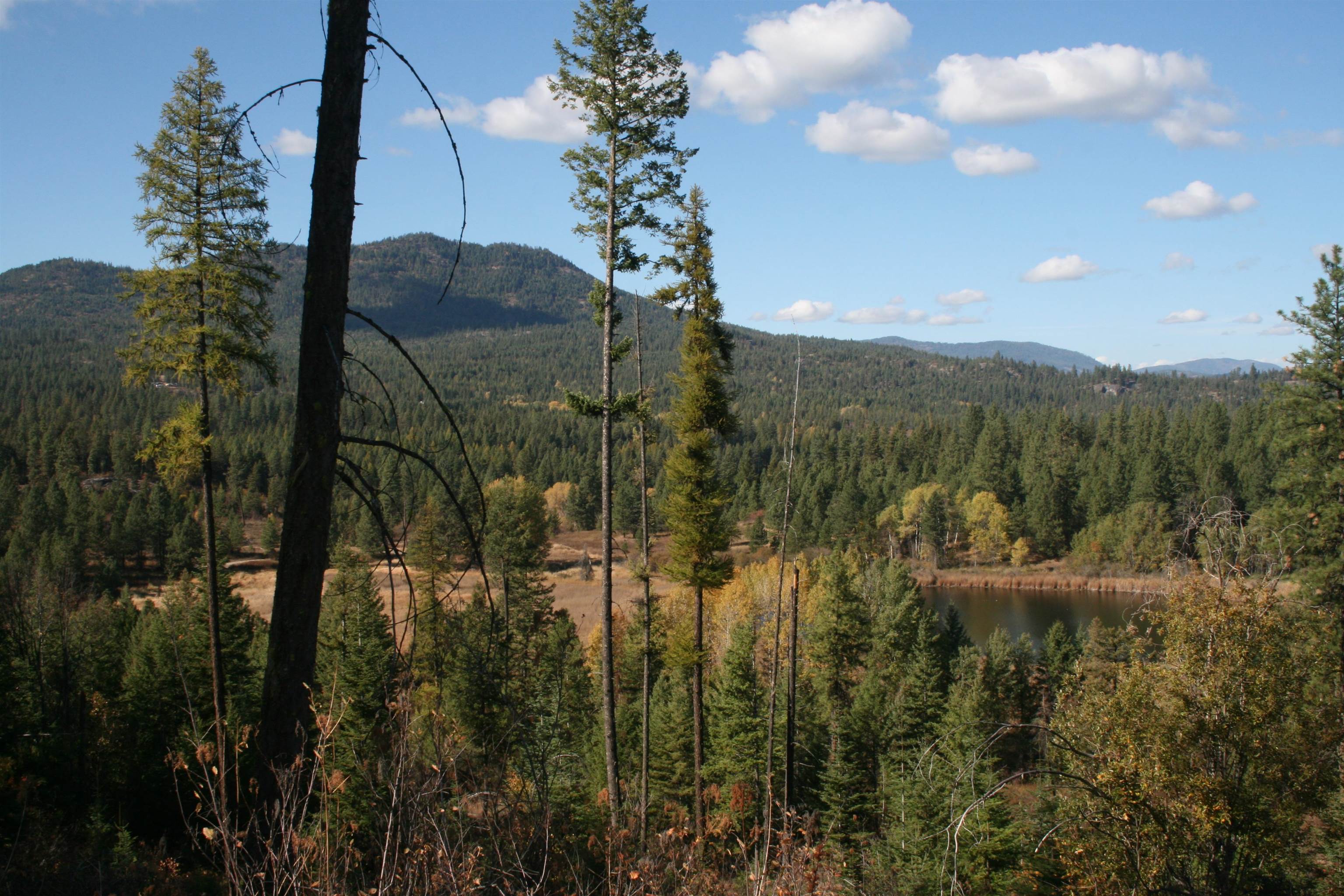 3673 Little Sweden Road, Unit LOT C Valley, WA 99181 - Photo 5 of 13