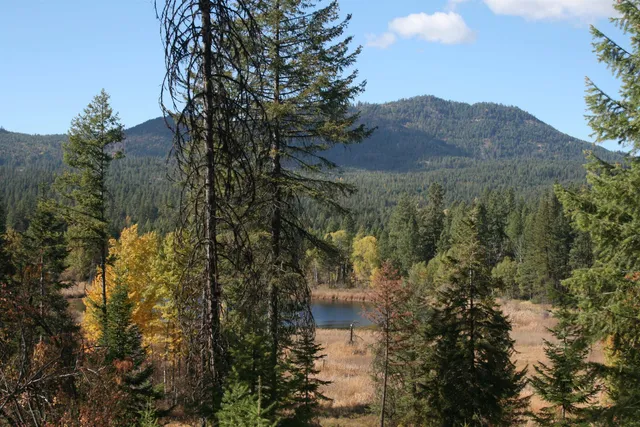 $1,500,000 | 3673 Little Sweden Road, Unit LOT C, Valley, WA 99181