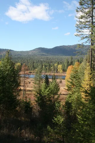 $1,500,000 | 3673 Little Sweden Road, Unit LOT C, Valley, WA 99181