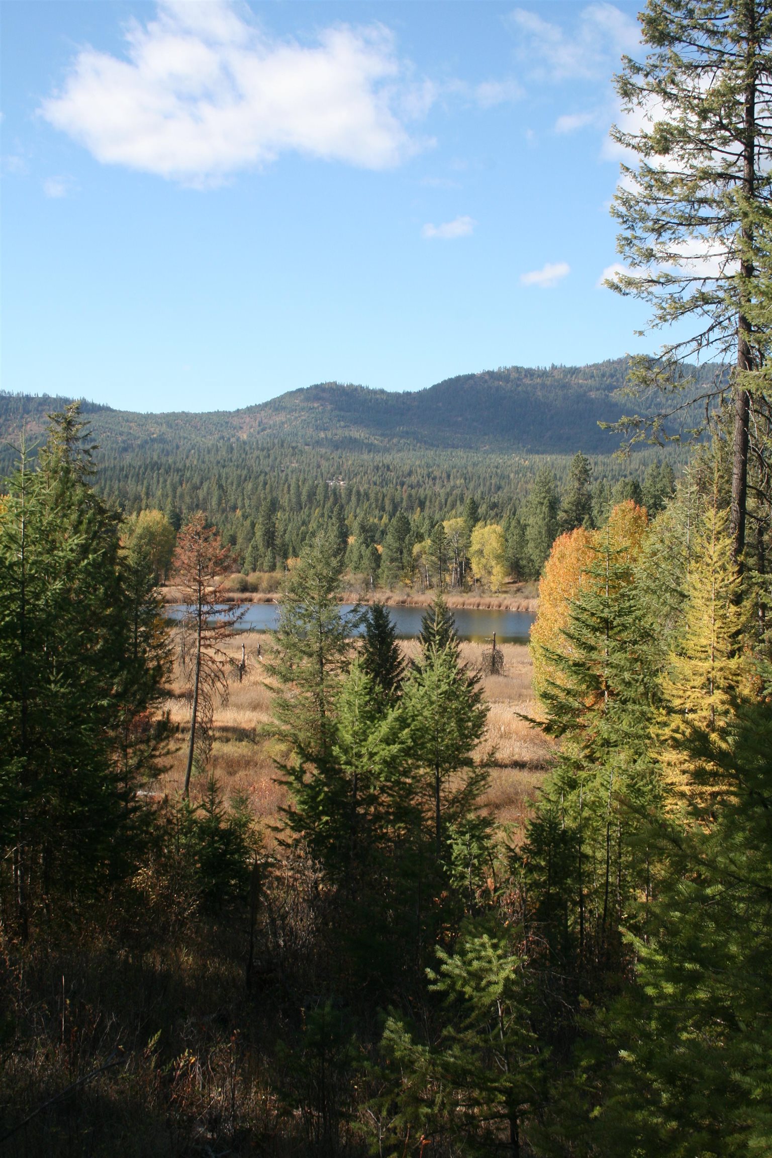 3673 Little Sweden Road, Unit LOT C Valley, WA 99181 - Photo 8 of 13