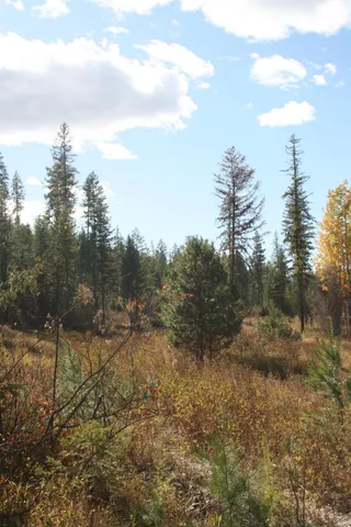 $1,500,000 | 3673 Little Sweden Road, Unit LOT C, Valley, WA 99181