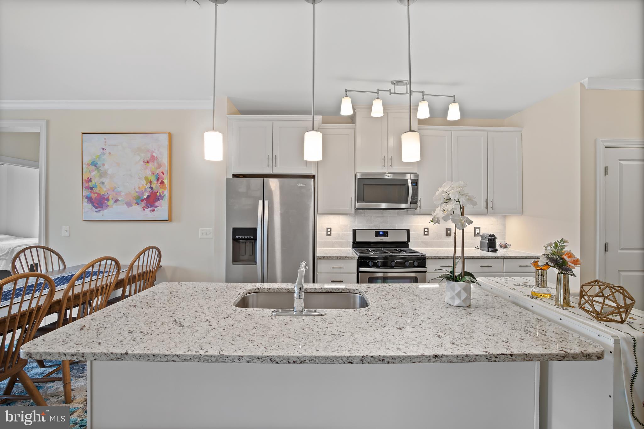 10530 Resort Road, Unit 201 Ellicott City, MD 21042 - Photo 11 of 43 Gallery Image 11