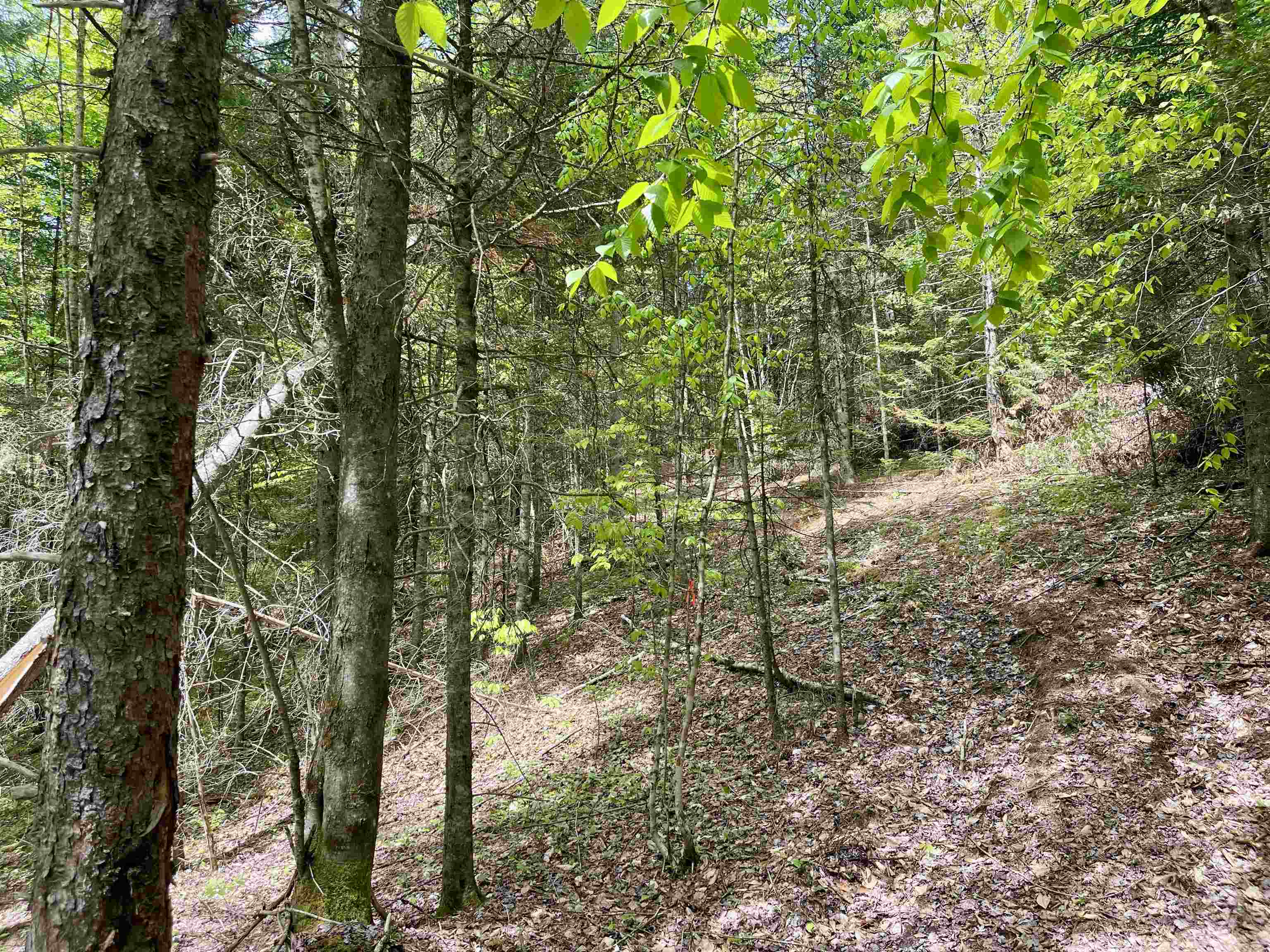 0 Marshall Newland Road East Burke, VT 05832 - Photo 4 of 29