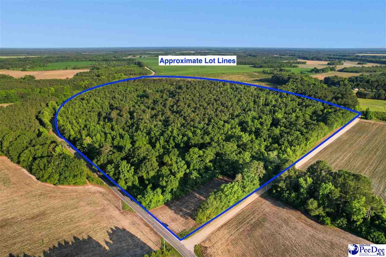 Lot 3-tbd Windham Town Road Lamar, SC 29069 - Photo 11 of 12 Gallery Image 11