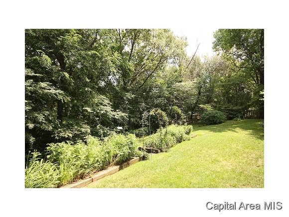 854 Roanoke Drive Springfield, IL 62702 - Photo 24 of 24