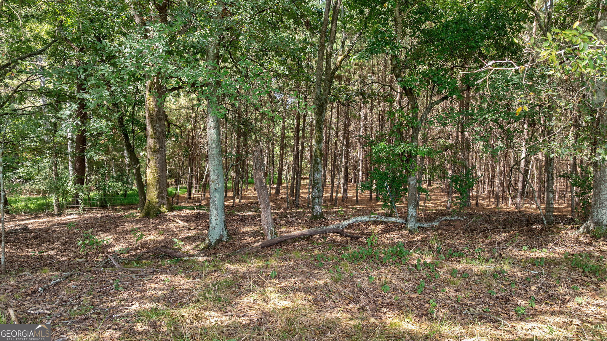 1160 Middlebrook Road Watkinsville, GA 30677 - Photo 35 of 42 Gallery Image 35