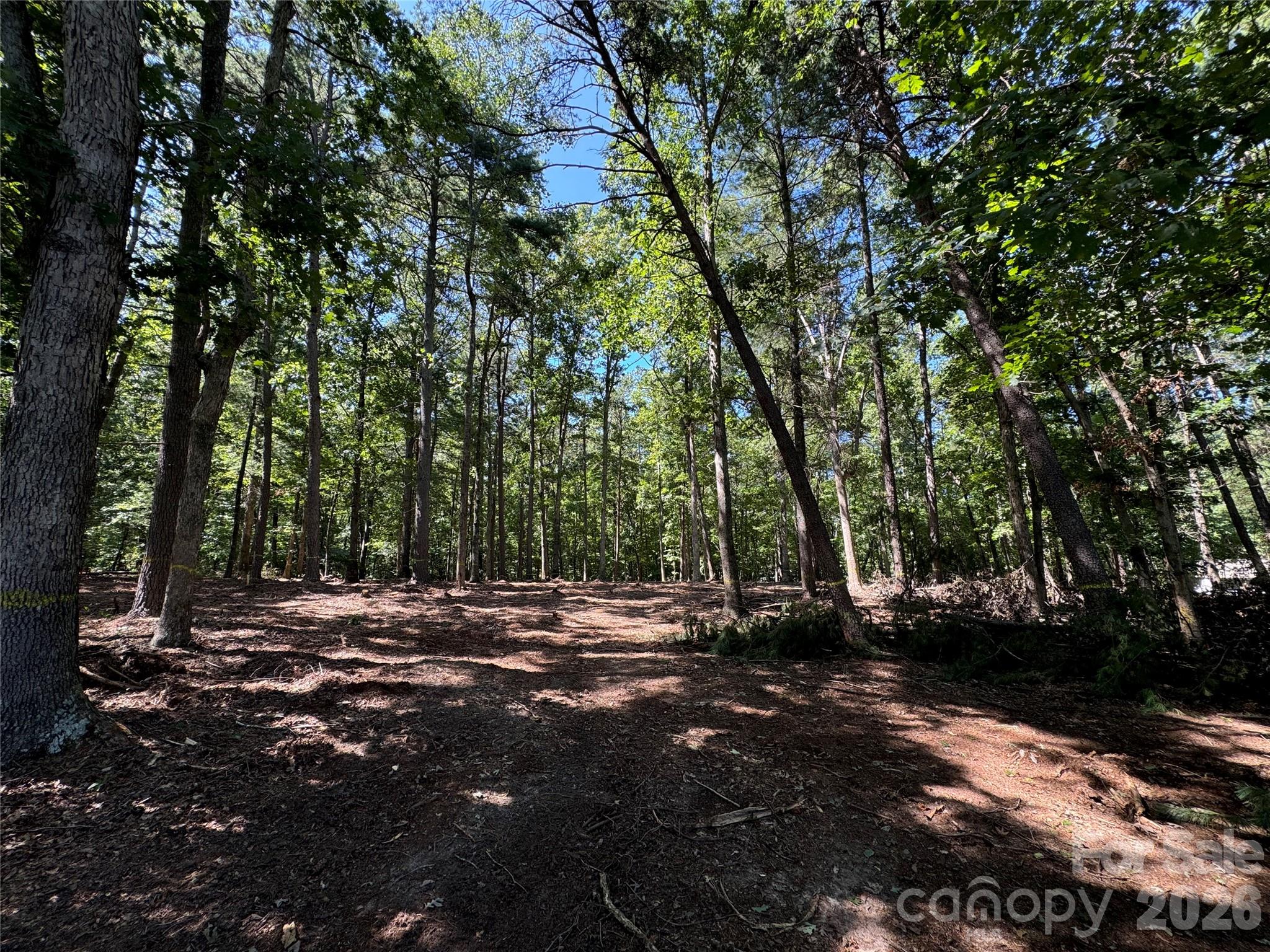 4941 Helton Road Granite Falls, NC 28630 - Photo 3 of 13