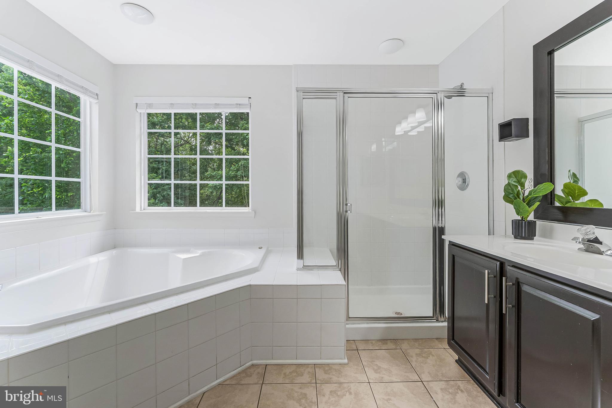 43103 Forest Edge Square Broadlands, VA 20148 - Photo 35 of 57 a bathroom with a bathtub and a sink