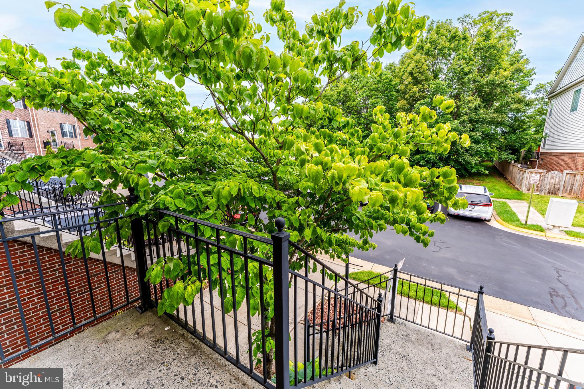 43103 Forest Edge Square Broadlands, VA 20148 - Photo 4 of 57