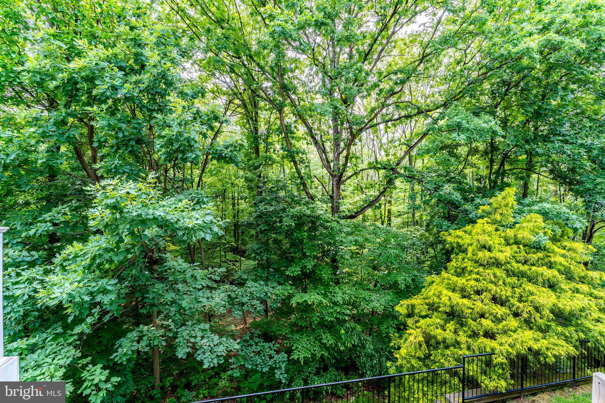 43103 Forest Edge Square Broadlands, VA 20148 - Photo 52 of 57