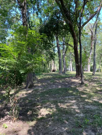 a view of outdoor space and yard