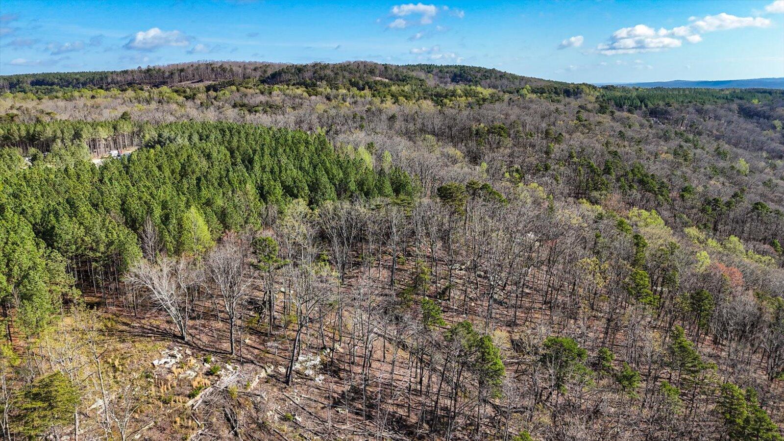 Lot 1350 Split Rail Way Whiteside, TN 37396 - Photo 12 of 23 18-1350 Split Rail Way-18
