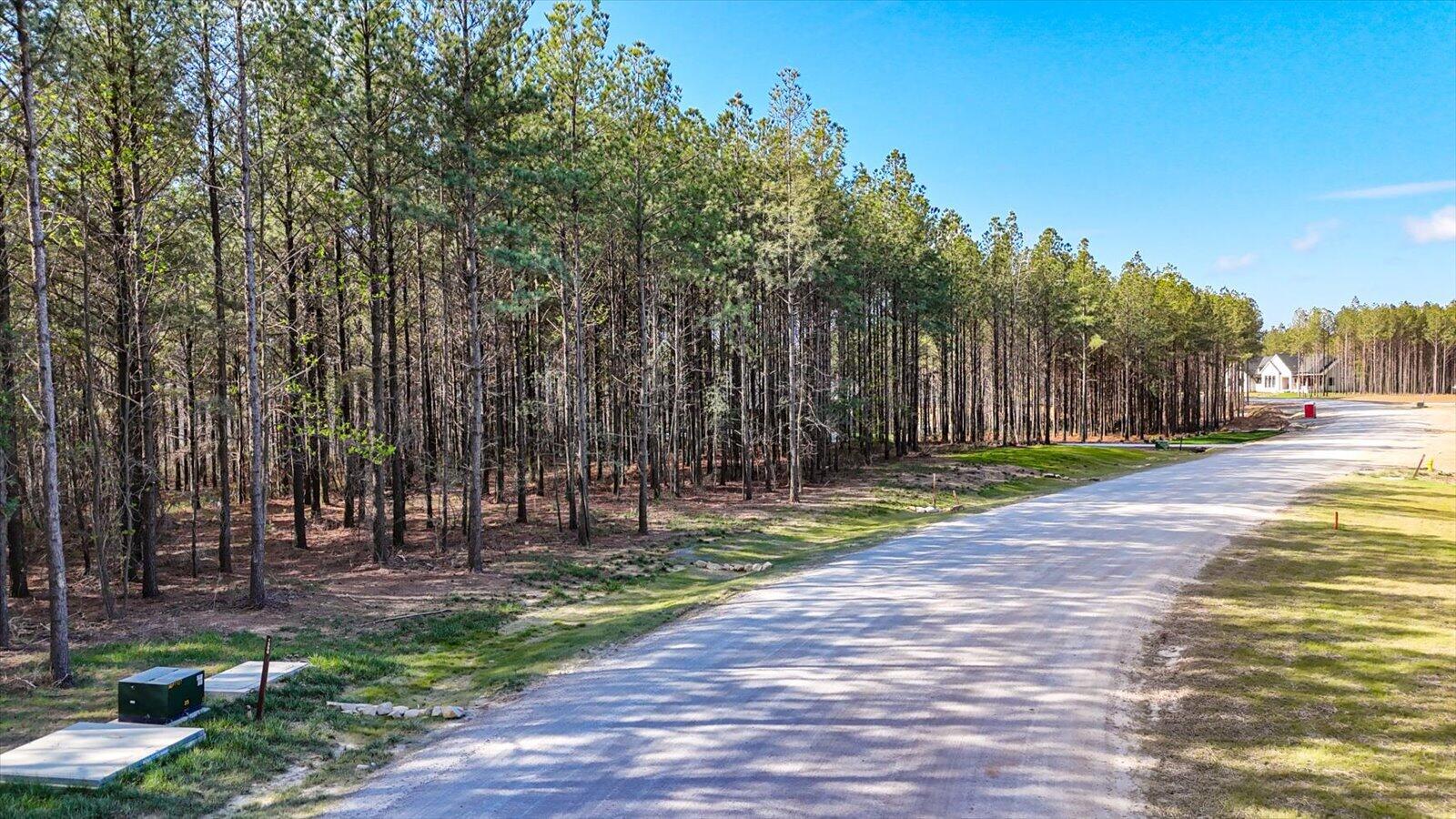 Lot 1350 Split Rail Way Whiteside, TN 37396 - Photo 16 of 23 05-1350 Split Rail Way-5