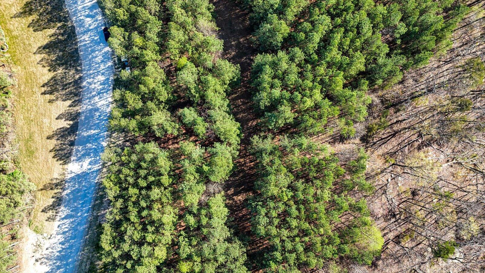 Lot 1350 Split Rail Way Whiteside, TN 37396 - Photo 19 of 23 20-1350 Split Rail Way-20