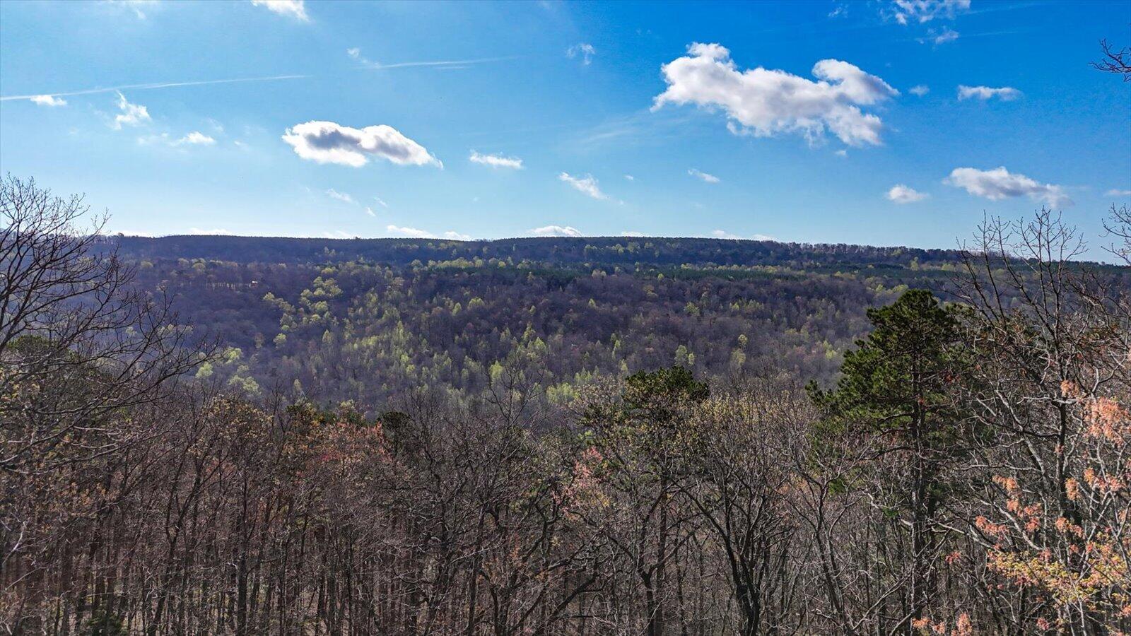 Lot 1350 Split Rail Way Whiteside, TN 37396 - Photo 6 of 23 12-1350 Split Rail Way-12