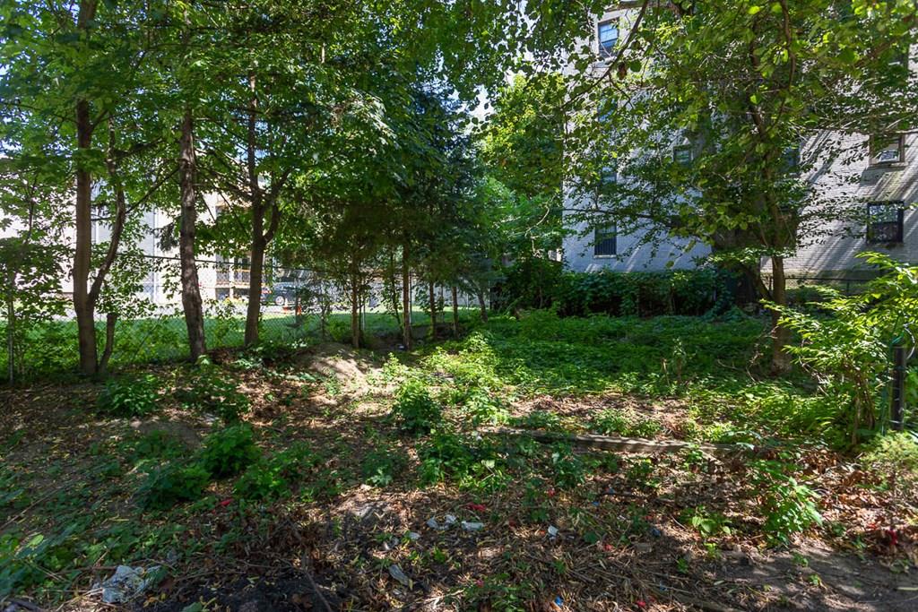 12-14 Ennis Road Boston, MA 02119 - Photo 11 of 41