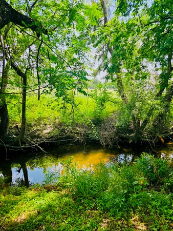 a view of swimming pool from a yard