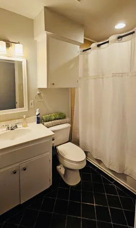 a bathroom with a sink toilet vanity and shower