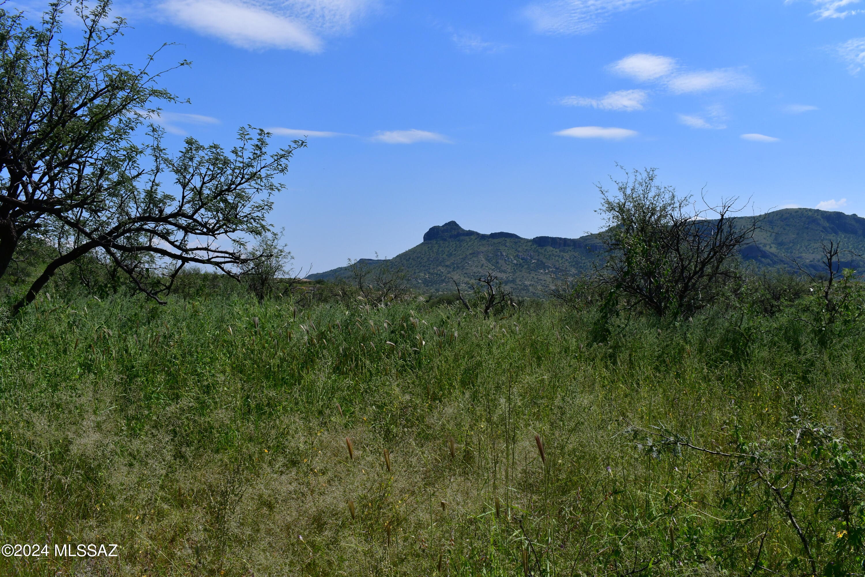 Tbd Tbd Mesquite Trail, Unit 132 Rio Rico, AZ 85648 - Photo 9 of 23