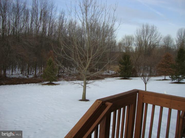 32 Windsor Pond Road Princeton Junction, NJ 08550 - Photo 17 of 17 Back Yard