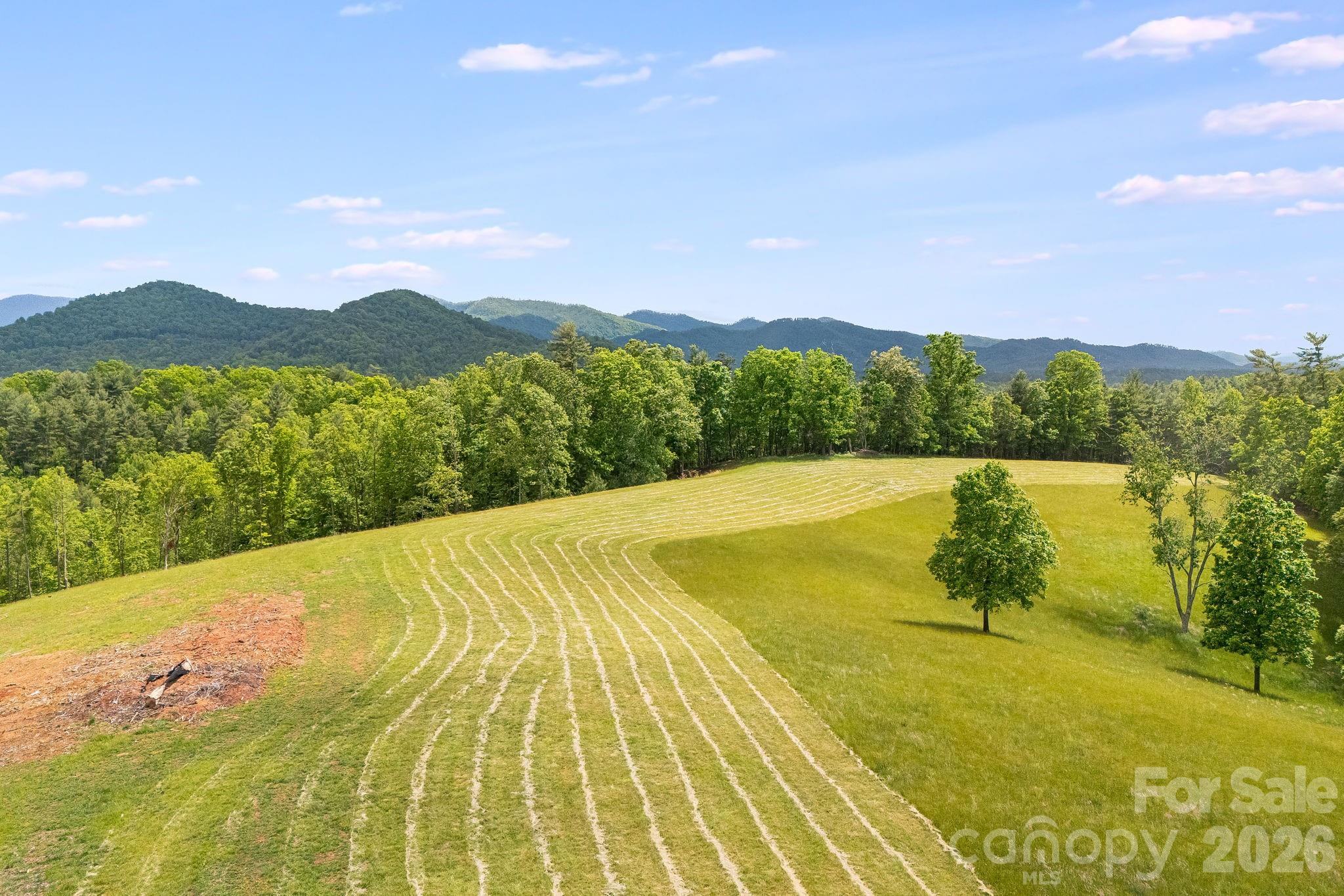 Tbd California Creek Road Mars Hill, NC 28754 - Photo 1 of 28