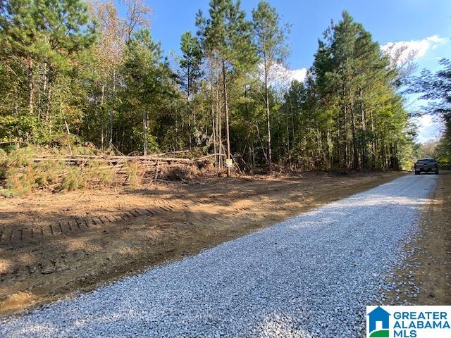 0 Maddox Farm Road, Unit OPTION 2 TRACT 2 Odenville, AL 35120 - Photo 2 of 7