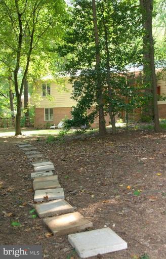 1307 Deep Run Lane Reston, VA 20190 - Photo 22 of 29 Back yard