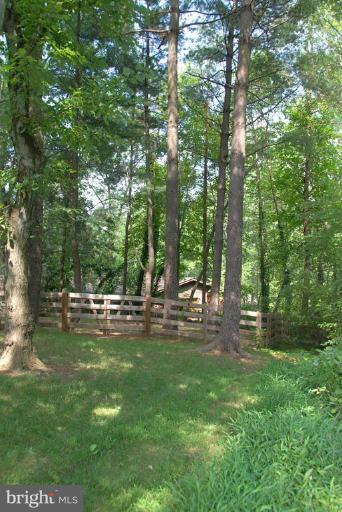 1307 Deep Run Lane Reston, VA 20190 - Photo 26 of 29 Wooded View / Acreage